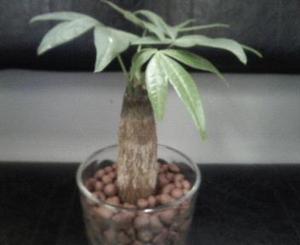 Photo_13